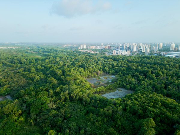 Boostez votre visibilité avec pâte à web