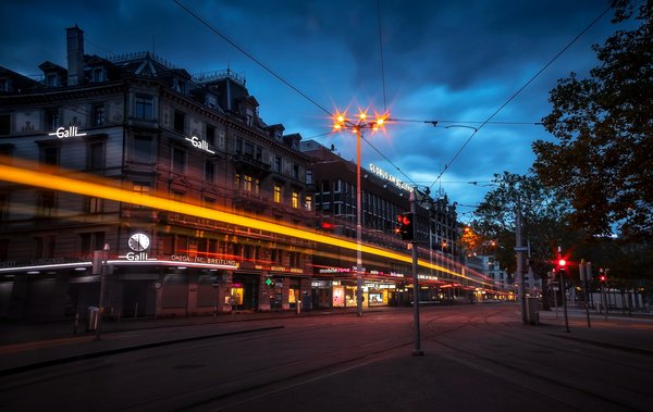 Quelles stratégies pour protéger la biodiversité dans les zones urbaines?